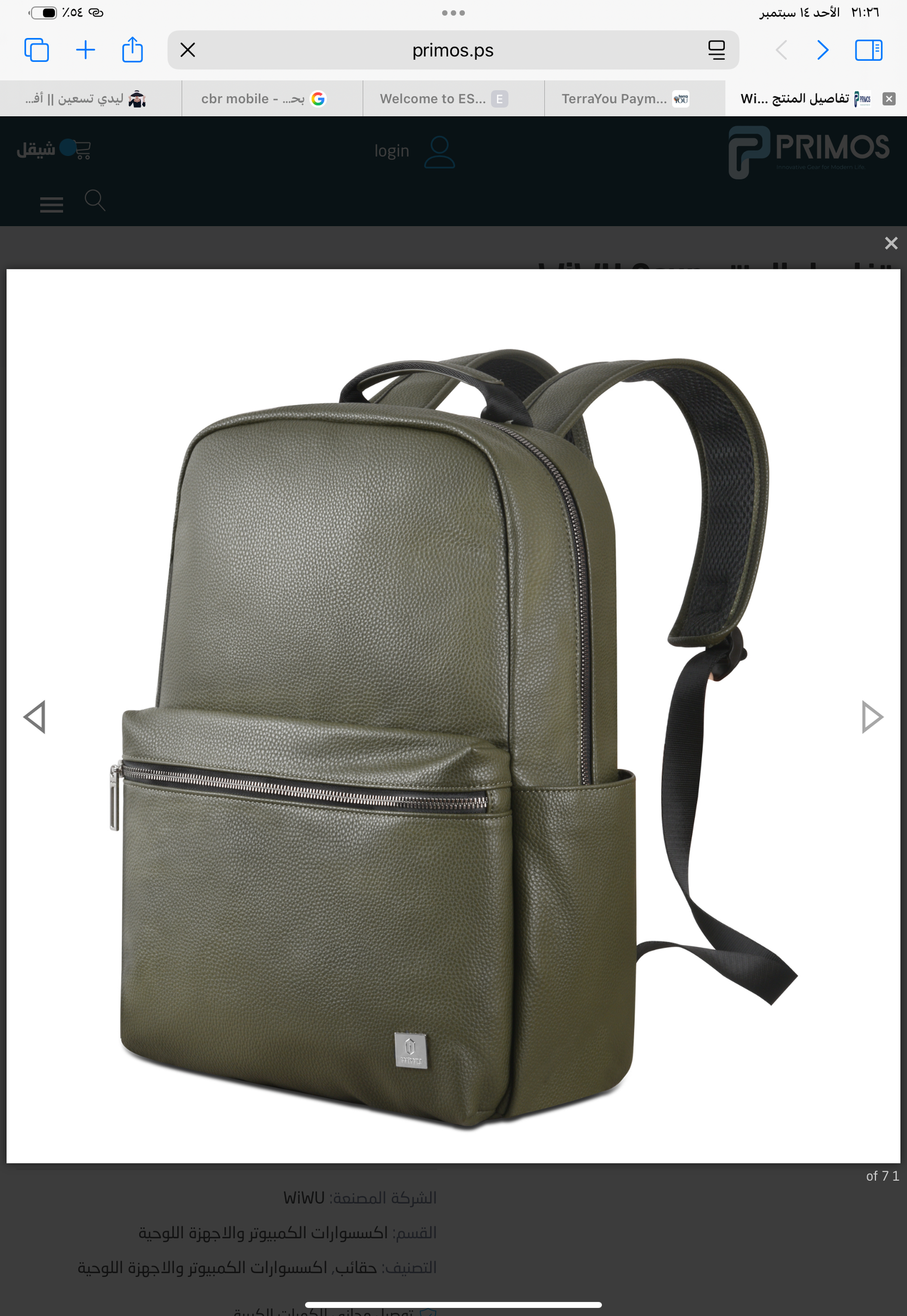 Wiwu sun Backpack